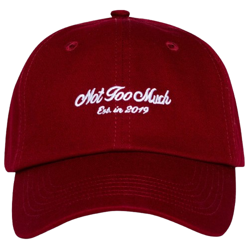 PATRICK TA - "Not Too Much" Baseball Cap